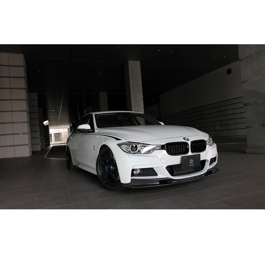 Evasive Motorsports: 3D Design CFRP Front Lip Spoiler - BMW F30