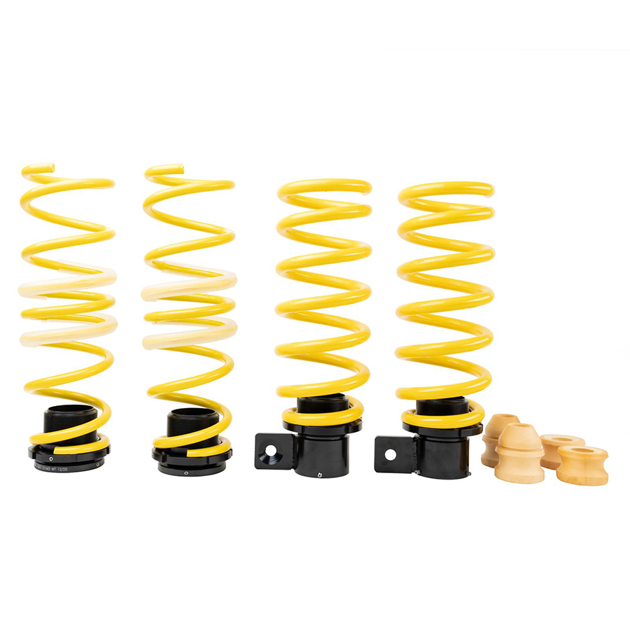 Rear Lowering Coil Springs BMW 5 (F10)