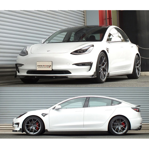 Evasive Motorsports: RS-R Ti2000 Down Sus Lowering Springs - Tesla